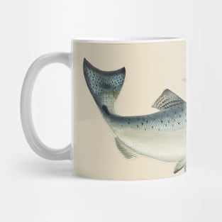 Don’t be afraid of your freedom Mug